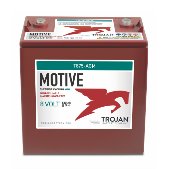 Motive T875-AGM Batteries 